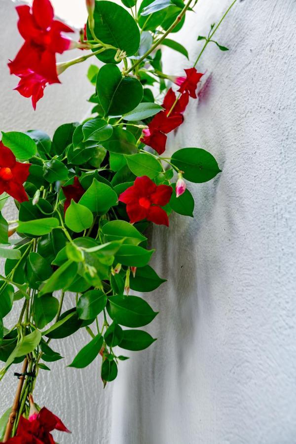 Antonella Home B&B Μπάρι Εξωτερικό φωτογραφία